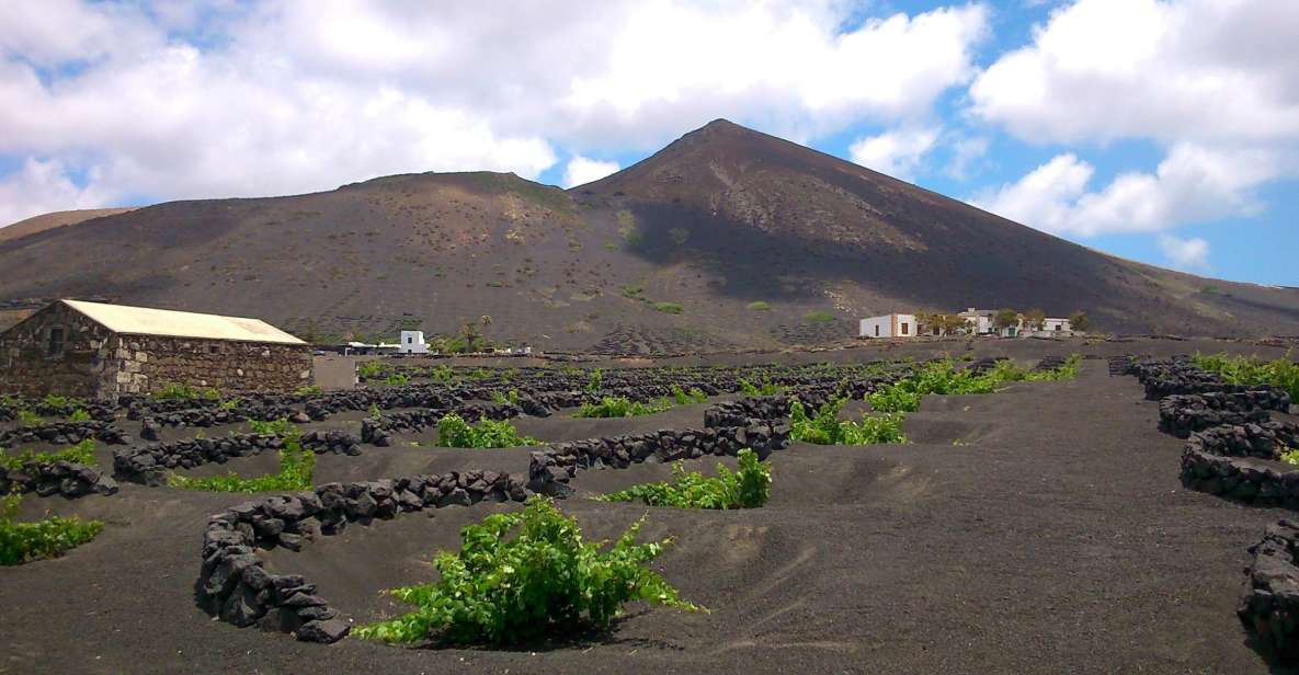 Lanzarote: La Geria Vineyards Hiking Tour - Common questions