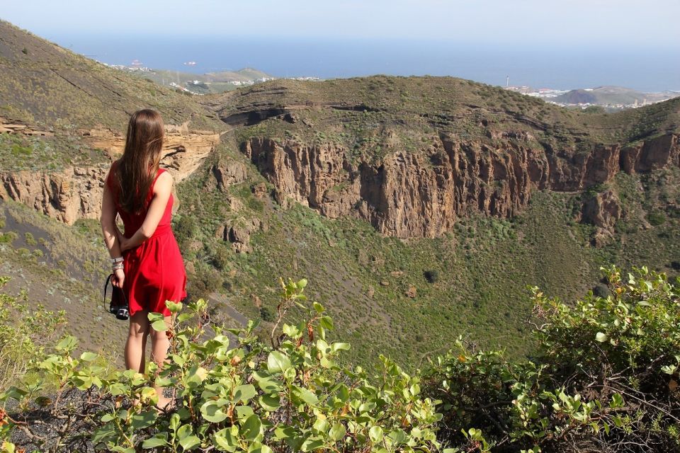 Las Palmas, Botanical Gardens and Bandama Volcano Tour - Included Services and Experiences