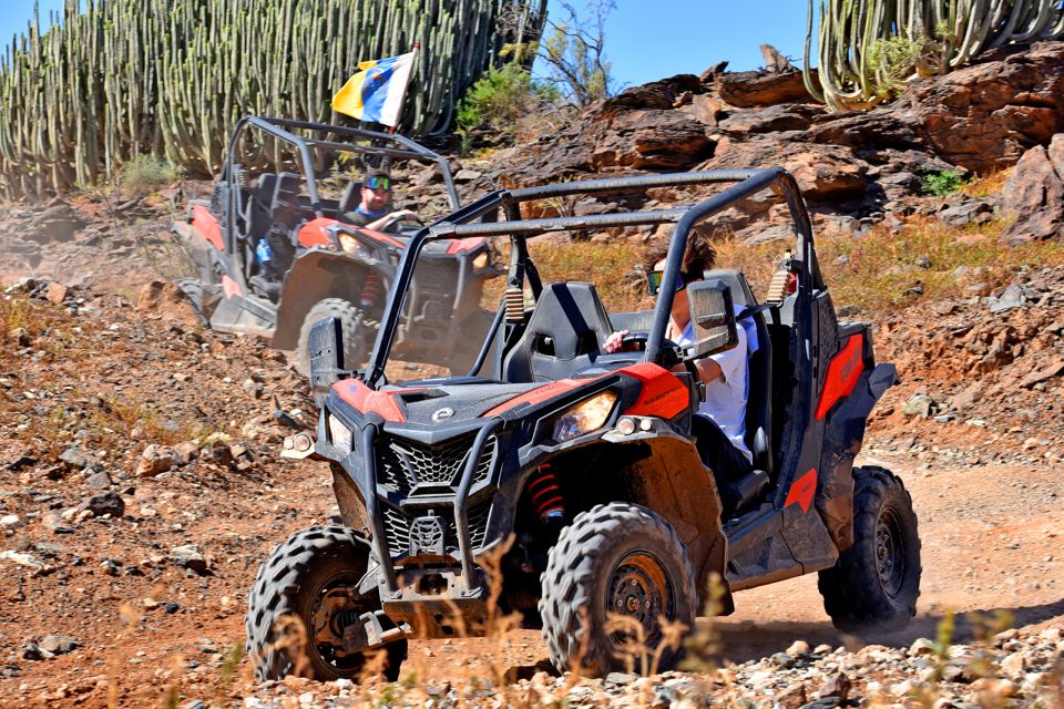 Las Palmas: Gran Canaria Guided Buggy Tour - Review Summary