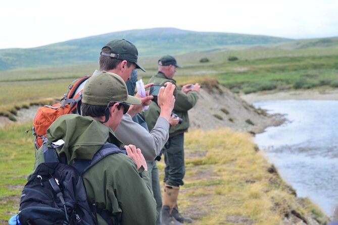 Late Summer Bear Viewing in Katmai National Park - Reviews and Ratings