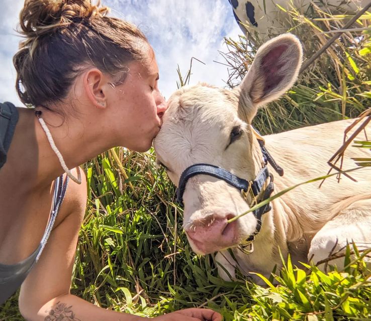 Laupahoehoe: Farm Animal Sanctuary Private Tour - Additional Information