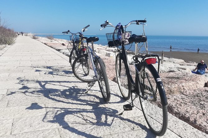 Lido Bike Tour: With a Local on the Island of Cinema - Reviews and Ratings Overview