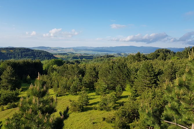 Light Trekking in the Heart of the Sila With an Excursion Guide - Common questions