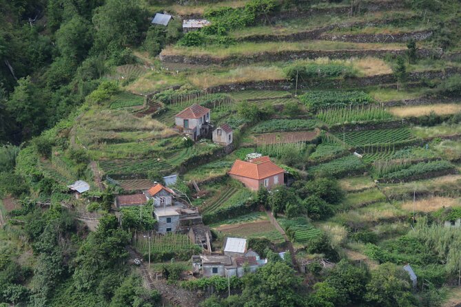 Local Farmers Market and 4WD Experience From Funchal - Traveler Assistance