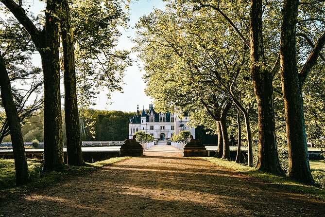 Loire Valley Emblematic Castles Private Tour With Antoine - Tour Highlights