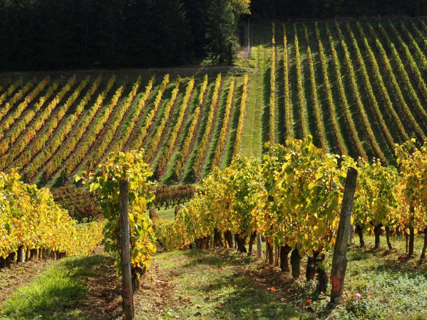 Loire Valley Tour & Wine Tasting Vouvray, Chinon, Bourgueil - Starting Information