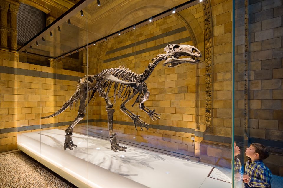 London: Natural History Museum Private Guided Family Tour - Important Information