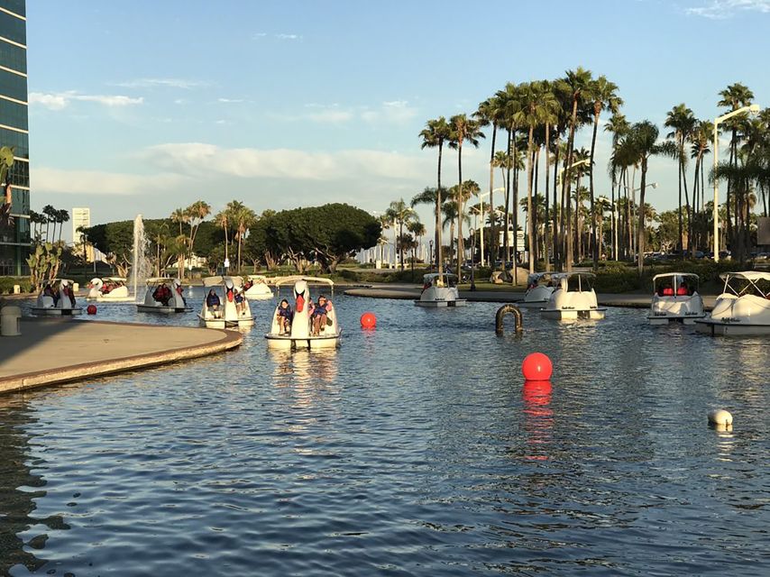 Long Beach: Swan Boat Rental at Rainbow Lagoon - LED Illuminated Night Ride Option