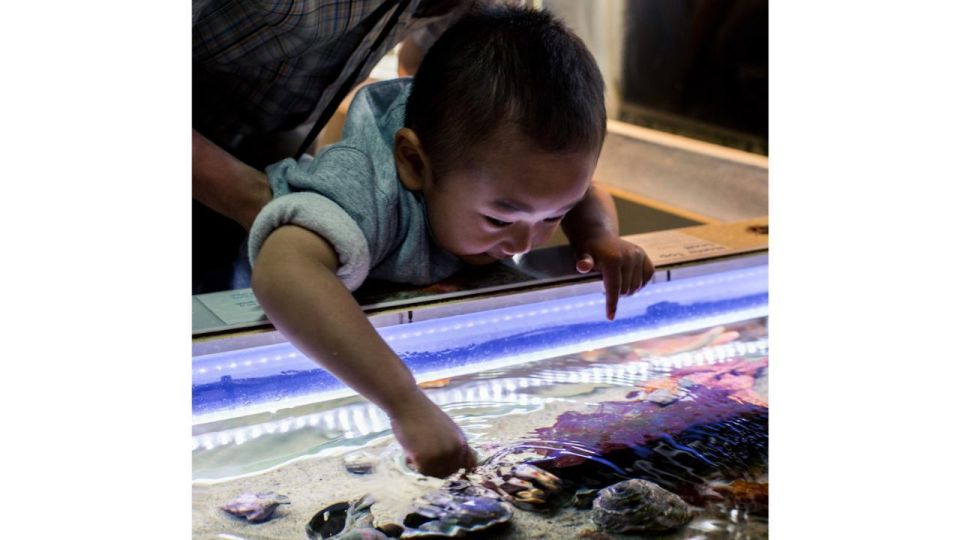 Los Angeles: Heal The Bay Aquarium in Santa Monica - Full Description