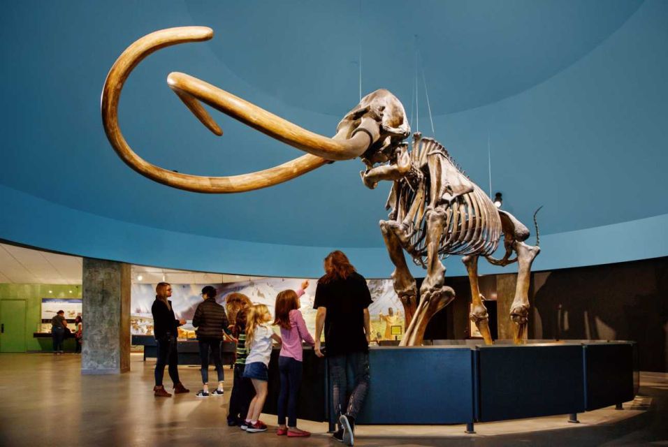 Los Angeles: La Brea Tar Pits Museum Ticket - Full Description of the Experience