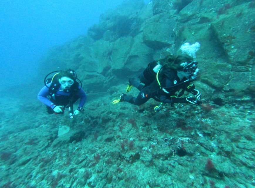 Los Cristianos: Try Dive for Beginners - Meet Your Instructors