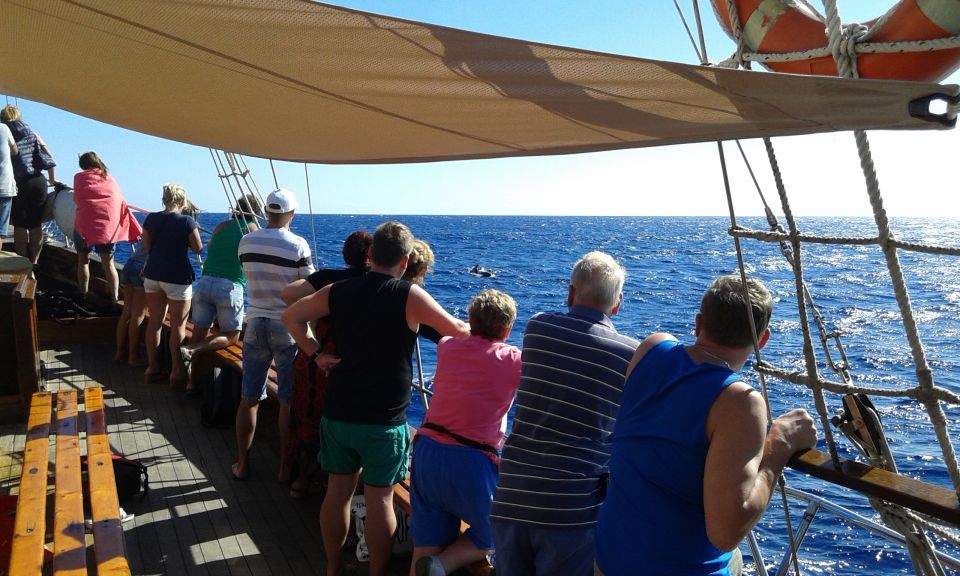 Los Cristianos: Whale-Watching Sailboat Tour and Soft Drinks - Customer Reviews
