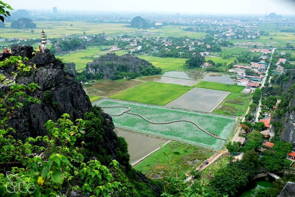 Luxury Private Tour: Ninh Binh 1day: Hoa Lu-Tam Coc-Mua Cave - Afternoon Itinerary