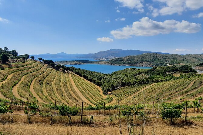 Luxury Wine Tour, Cap De Creus Natural Park - Cadaqués - Tour Logistics and Recommendations