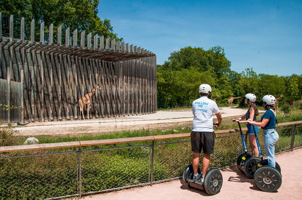 Lyon: City Segway Tour With a Local Guide - Customer Reviews