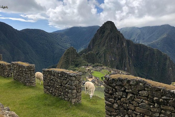 Machu Picchu Private Guide Service From Aguas Calientes - Booking Details and Policies