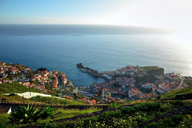 Madeira: Camara De Lobos Private Tuk-Tuk Tour From Funchal - Additional Information and Terms