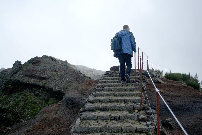 Madeira Full-Day Hiking Excursion - Price Details