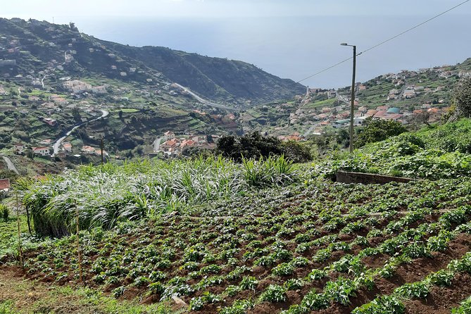 Madeira: Private Guided Levada Do Norte Walk - Booking Correct Location