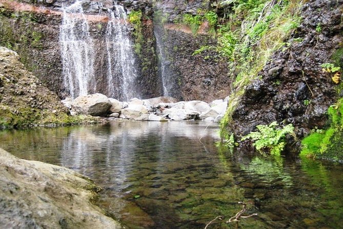 Madeira: Private Guided Walk Levada Do Paul - Booking Information