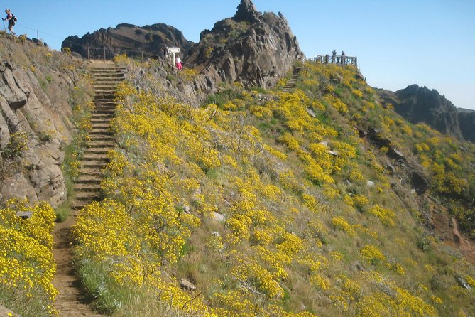 Madeiras Highest Peaks - AchadasTeixeira - Pico Ruivo - Arieiro (Full Day Walk) - What To Expect During the Tour