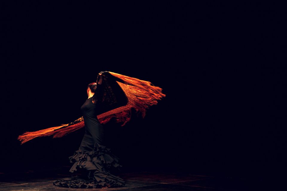 Madrid: Full-Day Private City Tour With Flamenco Show & Meal - Participant Information