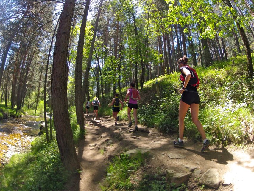 Madrid: Trail Running Day Trip - Unforgettable Trail Running Experience
