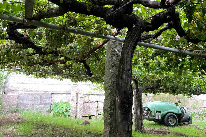 Madrids Wines and Tabernas: A Self-Guided Audio Tour - Cancellation Policy