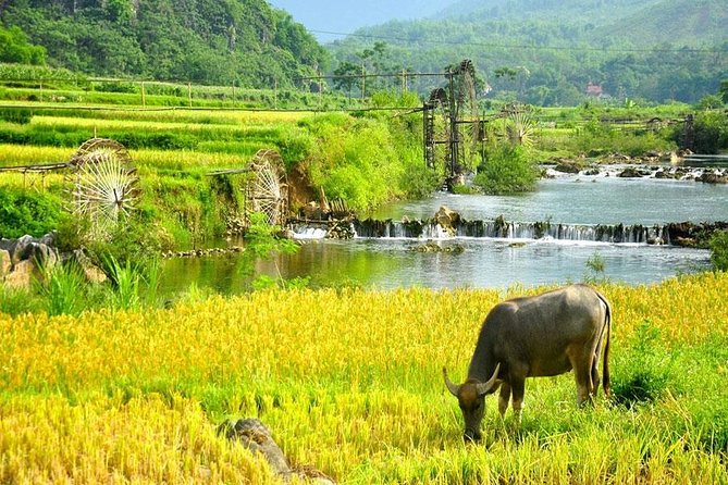 Mai Chau 1 Day Tour From Hanoi - Booking and Support