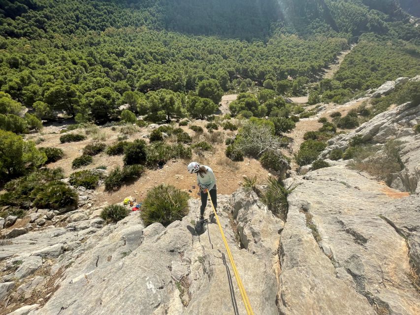 Málaga: Caminito Del Rey and El Chorro Climbing Trip - Background