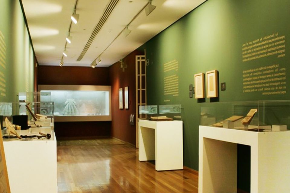 Malaga: Guided Tour of Picassos Birthplace Museum - Tour Highlights