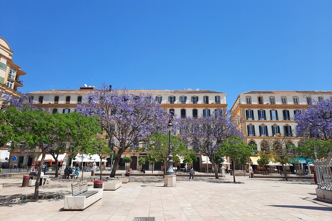 Malaga Half-Day Walking City Tour With Private Expert Guide - Last Words