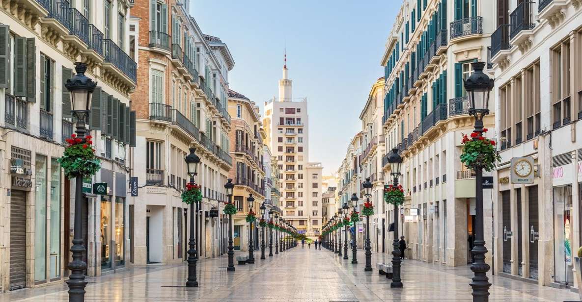 Malaga: Private City Tour With Theater and Cathedral Tickets - Full Description of Malaga Tour
