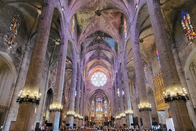 Mallorca Cathedral Skip The Line Tickets - Visitor Experiences and Reviews