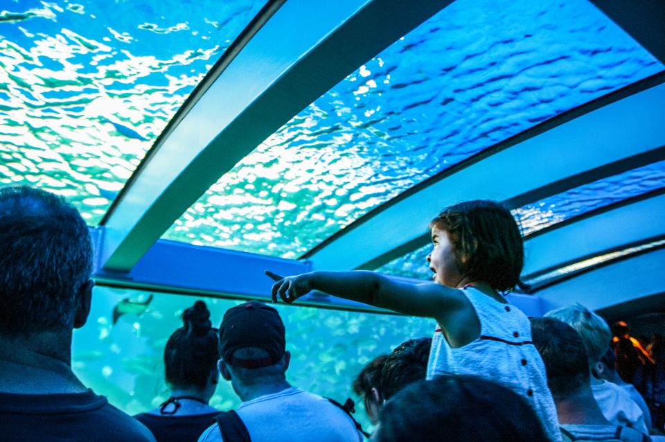 Mallorca: Palma Aquarium Entry Ticket W/ Optional 3D Cinema - Practical Details