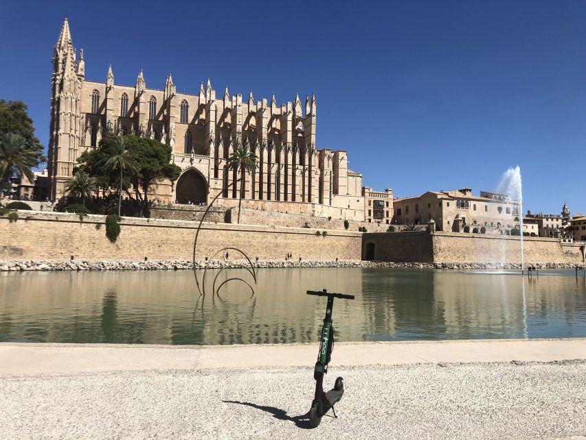 Mallorca: Premium E-Scooter Rental With Delivery Option - Customer Reviews and Recommendations