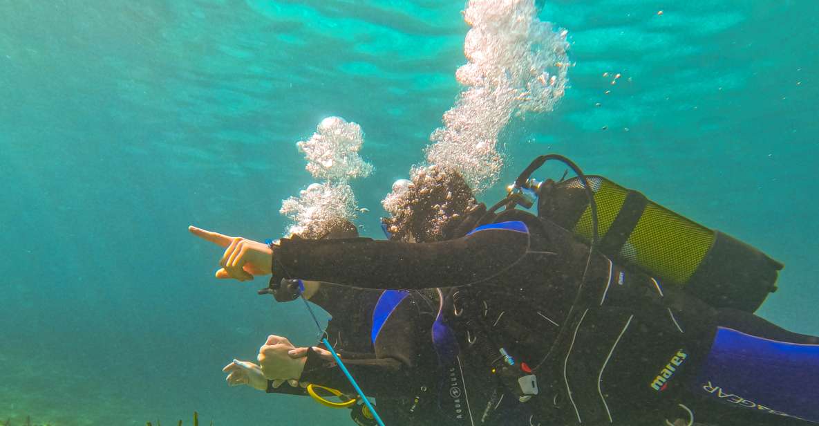 Mallorca: Private Beginner Scuba Dive With Instructor/Photos - Booking Details