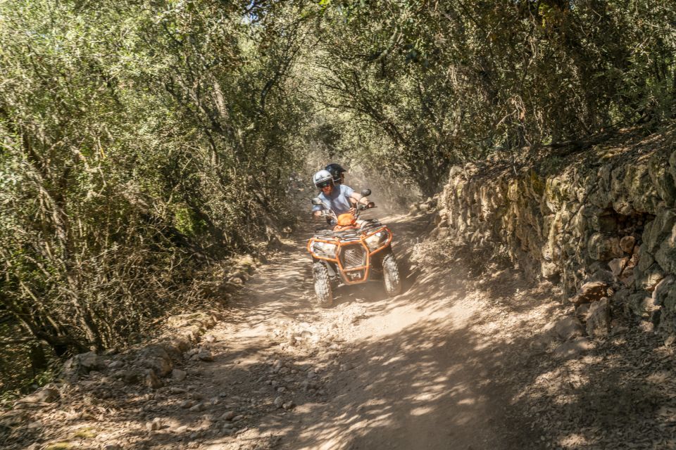 Mallorca: Quad Bike Tour With Snorkeling and Cliff Jumping - Customer Testimonials