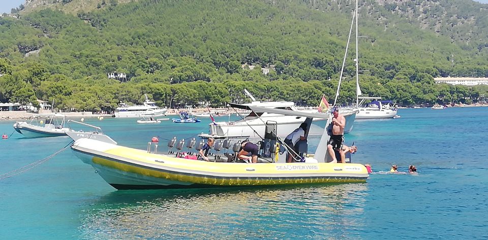 Mallorca : Speedboat, Snorkelling and Swimming Adventure - Customer Reviews