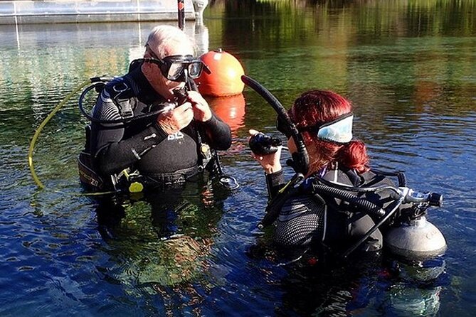 Manatees and Rainbow River by SCUBA or Snorkel - Common questions