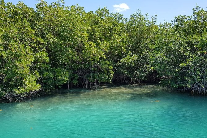 Mangrove and Lagoon Speed Boat Tour - Refunds and Operator Information