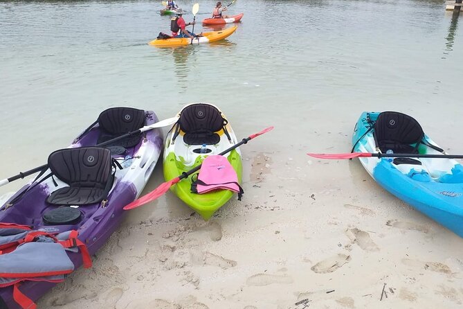 Mangrove Kayaking Abu Dhabi - Common questions