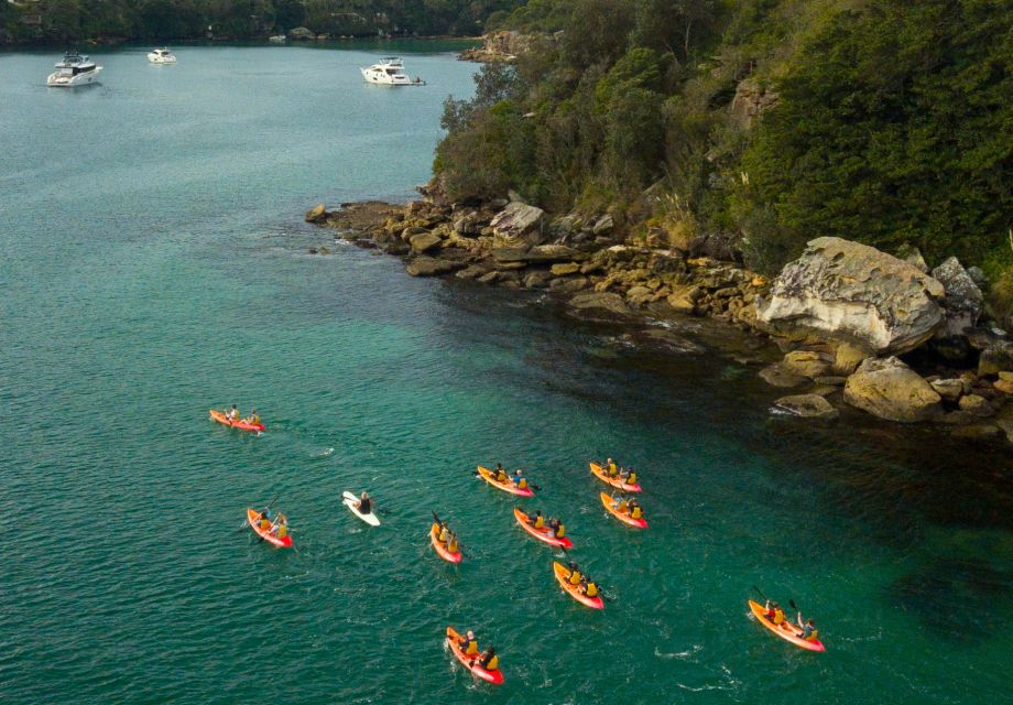 Manly: Mini Kayak Tour on Sydneys North Harbour - Restrictions
