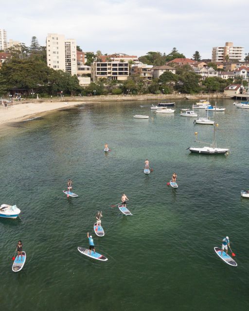 Manly Stand Up Paddle Board Hire - Common questions