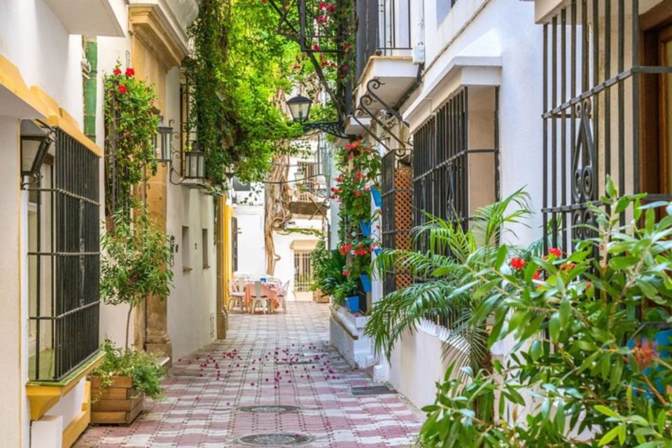 Marbella: Private Customizable Walking Tour With Guide - Tour Description