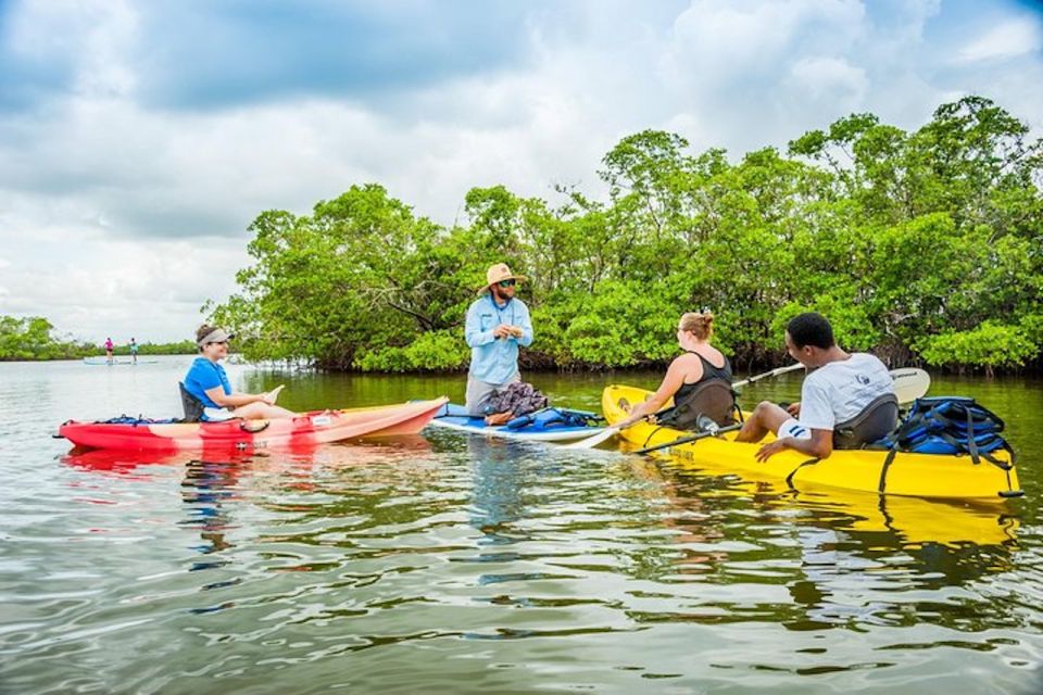 Marco Island: Kayak Mangrove Ecotour in Rookery Bay Reserve - Customer Reviews