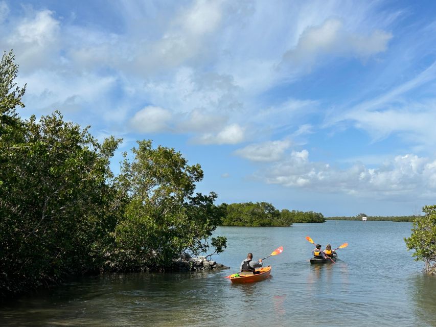 Marco Island: Mangrove Maze Kayak Tour (2hrs) - What to Bring