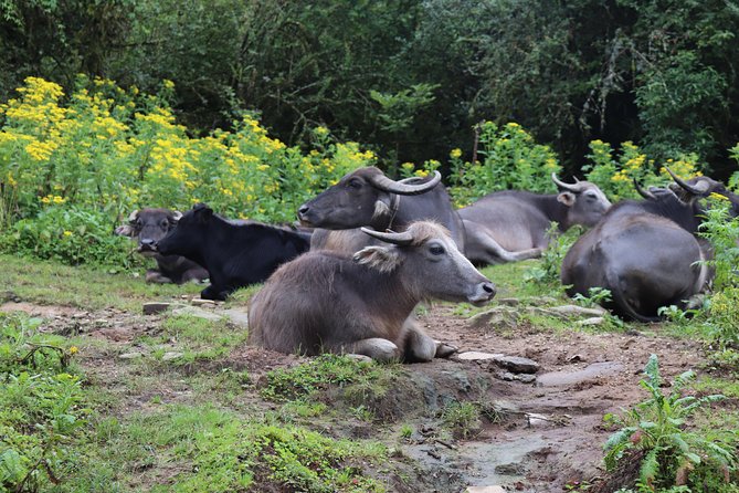 Mardi Himal Base Camp Trek (5 Days) - Packing Essentials