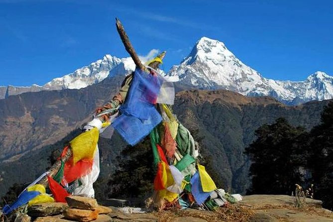 Mardi Himal Trekking - 10 Days - Day 3: Pokhara to Pitam Deurali