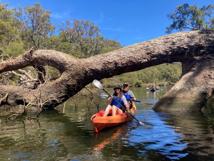 Margaret River: Guided Kayaking & Winery Tour With Lunch - Common questions